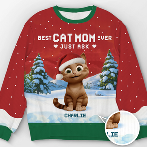 Custom Unisex Ugly Sweatshirt - Personalized Christmas Birthday Gifts For Cat Lovers, Cat Mom And Dad - Ho Ho Hold My Catnip