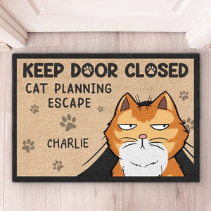 Chats en train de planifier une évasion - Tapis décoratif personnalisé pour la maison - Cadeau de pendaison de crémaillère pour les amoureux des animaux