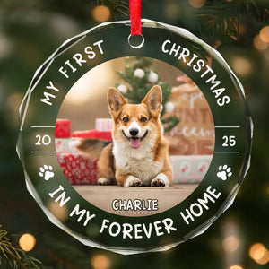 BG-PREVIEW