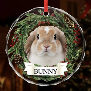 thumb-bunny