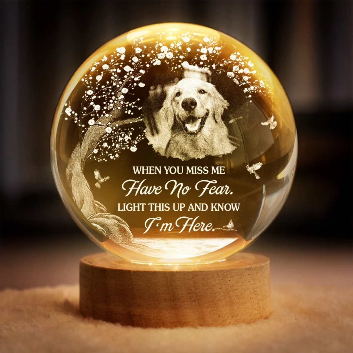 PCG-HA0509_thumb-1