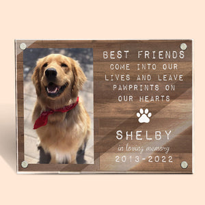 You're Always My Adorable Friends - Memorial Personalized Custom Acrylic Magnetic Photo Frame - Sympathy Gift, Gift For Pet Owners, Pet Lovers