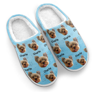Chaussons personnalisés pour chiens et chats : Que vos journées soient douces et lumineuses ! Cadeau idéal pour les propriétaires et les amoureux des animaux.