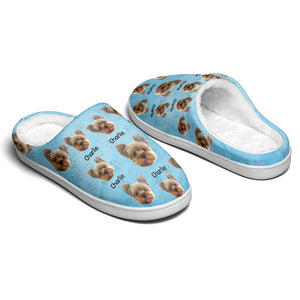 Chaussons personnalisés pour chiens et chats : Que vos journées soient douces et lumineuses ! Cadeau idéal pour les propriétaires et les amoureux des animaux.