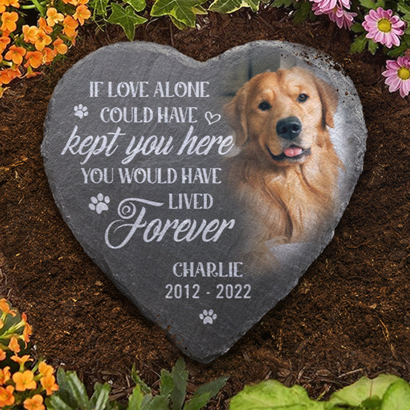 Pierre commémorative personnalisée en forme de cœur avec photo - Cadeaux de condoléances personnalisés pour animaux de compagnie pour chiens, chats, perte d'un chien - Vous auriez vécu pour toujours