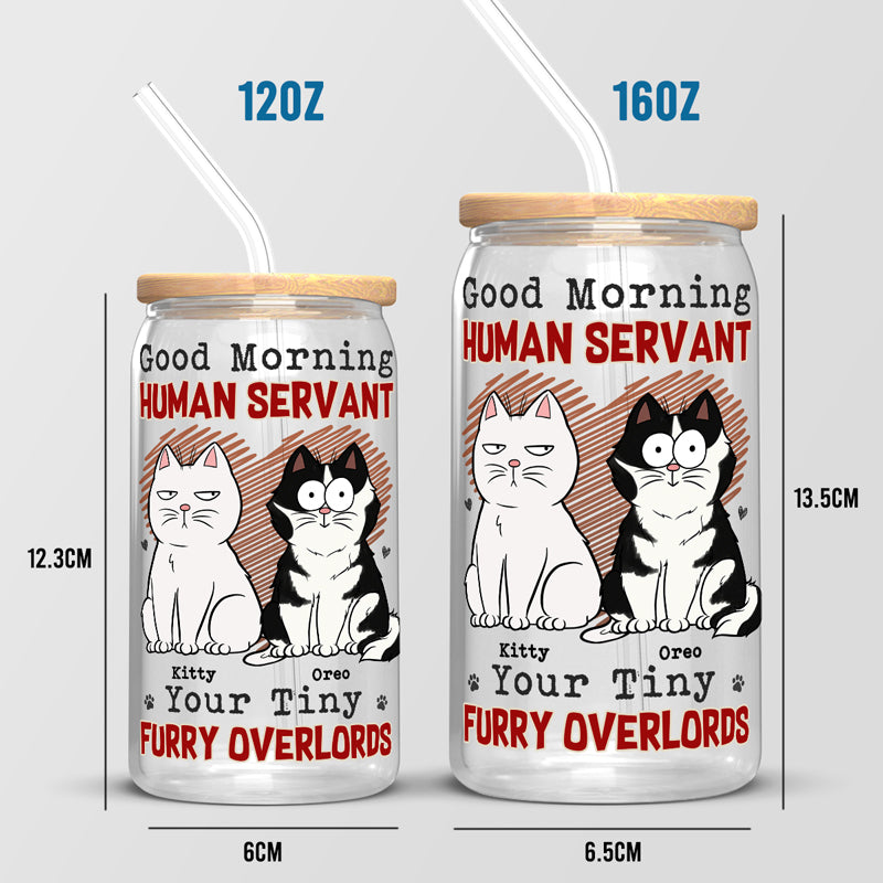 Bonjour, serviteur humain, vos petits seigneurs à fourrure - Tasse en verre personnalisée pour chat, tasse à café glacé - Cadeau pour les propriétaires d'animaux et les amoureux des animaux