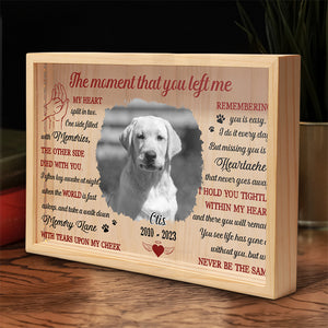 Photo personnalisée « Le moment où tu m'as quitté » - Cadre photo personnalisé avec boîte lumineuse - Cadeau de condoléances pour les propriétaires et les amoureux des animaux
