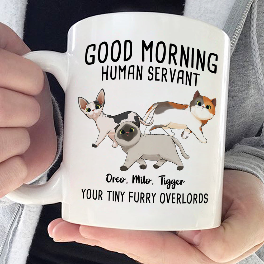 Bonjour, serviteur humain - Tasse personnalisée pour chat - Cadeau pour les propriétaires et les amoureux des animaux
