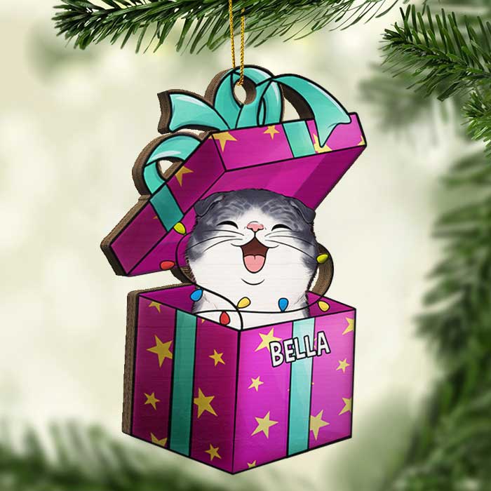 Christmas Gift Box - Dogs And Cats - Personalized Shaped Ornament.