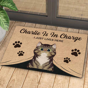 The Cats Are In Charge - Personalized Decorative Mat.