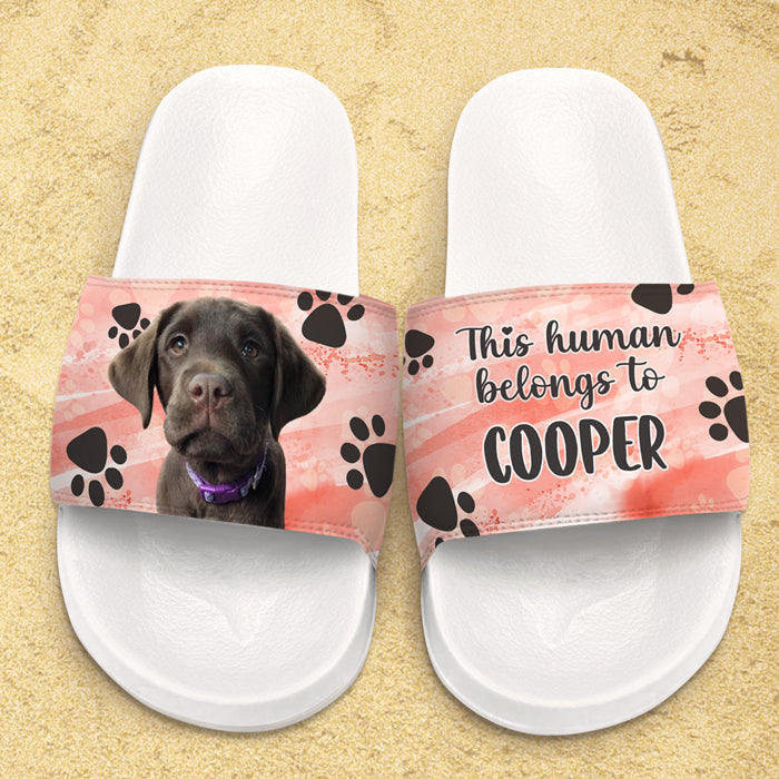 Cet humain appartient à - Sandales et chaussons personnalisés - Télécharger une image, cadeau pour les amoureux des animaux