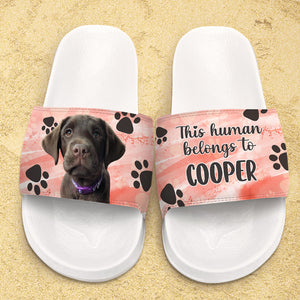 Cet humain appartient à - Sandales et chaussons personnalisés - Télécharger une image, cadeau pour les amoureux des animaux