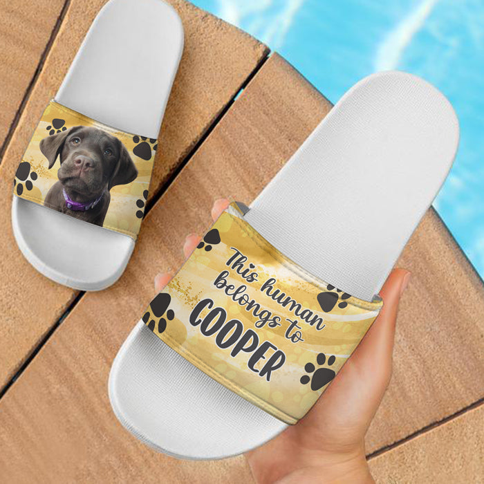 Cet humain appartient à - Sandales et chaussons personnalisés - Télécharger une image, cadeau pour les amoureux des animaux