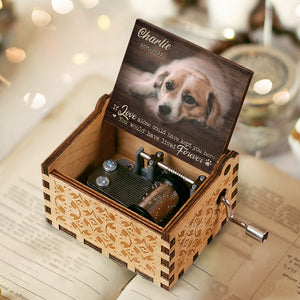 Tu aurais vécu éternellement ! Boîte à musique personnalisée ! Télécharger une image, cadeau pour les amoureux des animaux