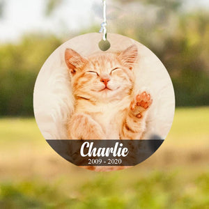 To Your Pet - My Favorite Hello - Personalized Outdoor Wind Chime.