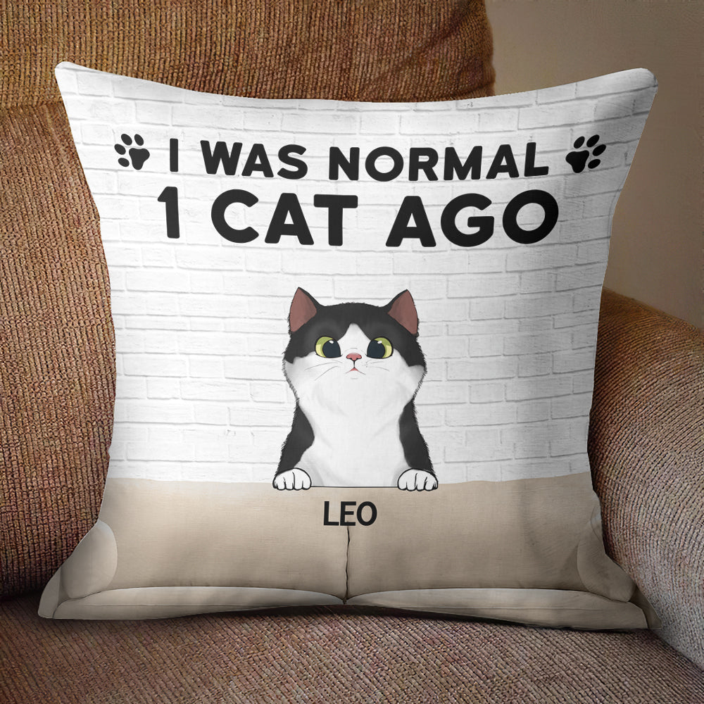 I Was Normal With My Cats - Funny Personalized Cat Pillow (Insert Included).