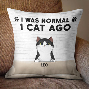 I Was Normal With My Cats - Funny Personalized Cat Pillow (Insert Included).