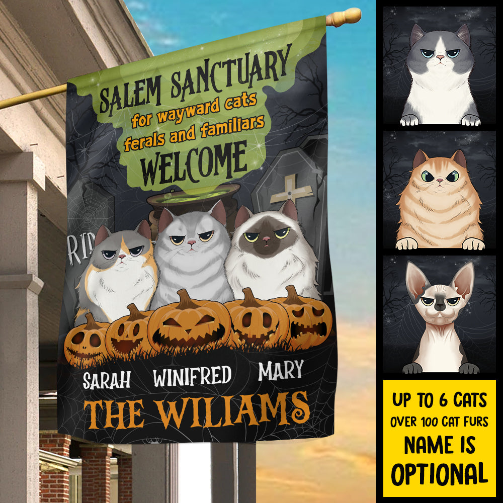 Salem Sanctuary For Wayward Cats - Personalized Funny Cat Flag.