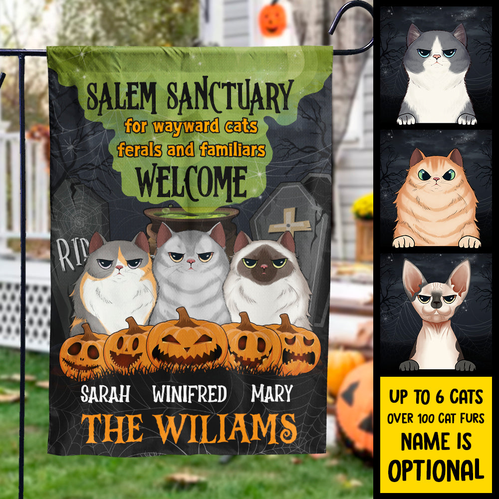 Salem Sanctuary For Wayward Cats - Personalized Funny Cat Flag.