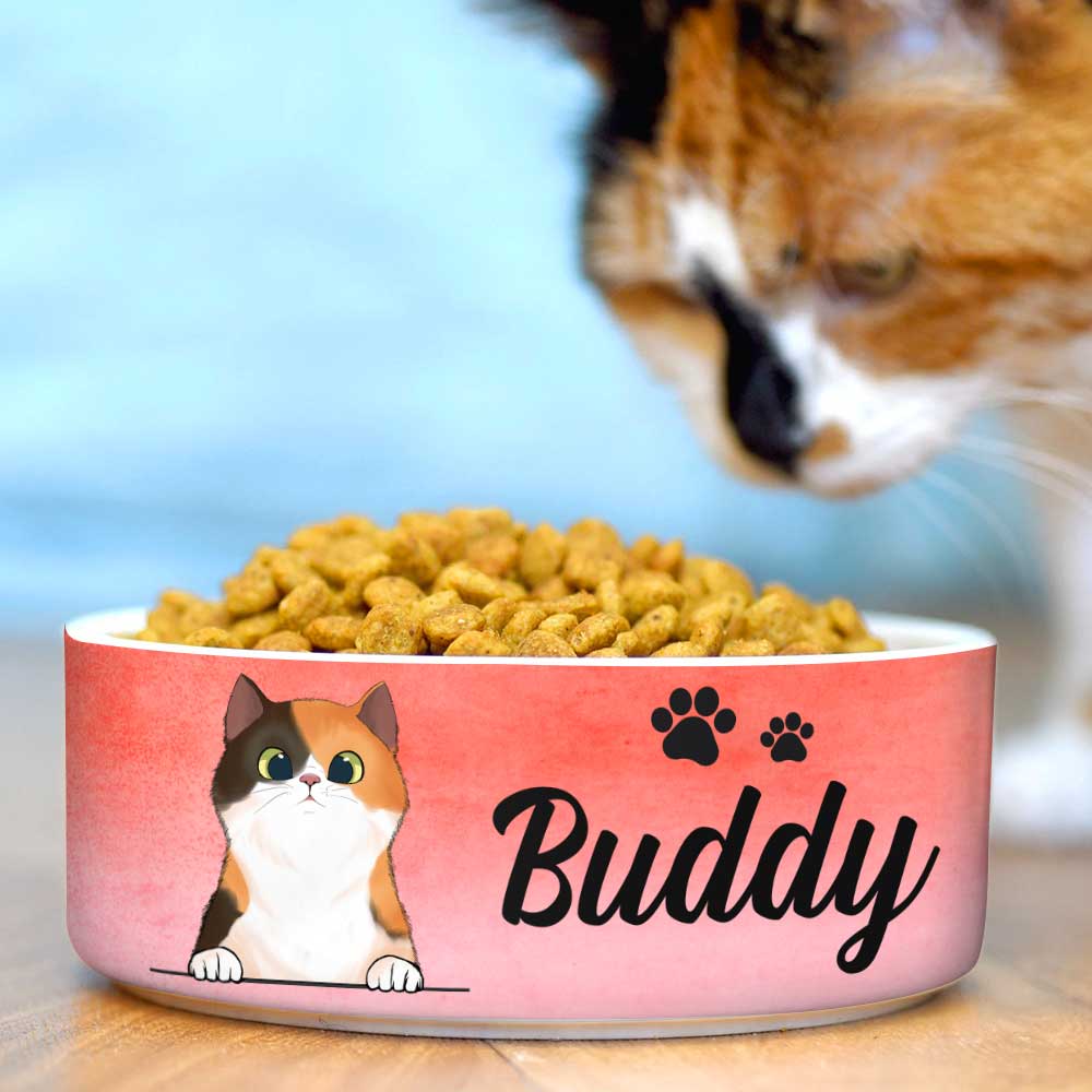 Pink Coral, Gift For Cat Lovers - Personalized Custom Cat Bowls.